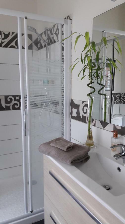 La Pecherie Bed and Breakfast Selles-sur-Cher Esterno foto